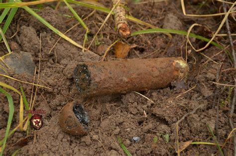 Propaganda Shell 的图像结果