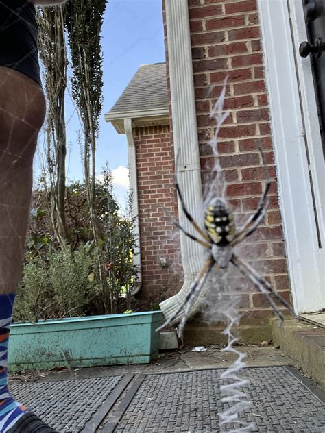 I’m over here watching Netflix and trying to stop myself from having an anxiety attack like a ...