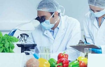 Career Opportunities in Food industry in India | The CEO Magazine