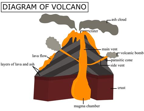 A diagram of a volcano.Cross section of a volcano.Illustration for ...