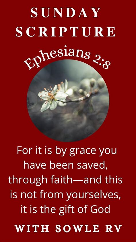 Sunday Scripture 的图像结果