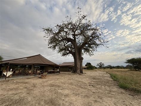 TARANGIRE KATI KATI TENTED CAMP (Kuro Ranger Post) - Campground Reviews ...