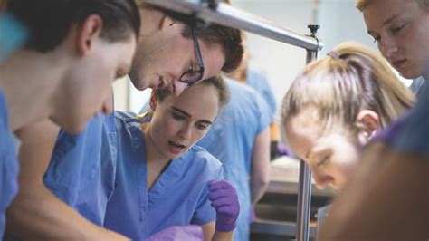 Stephen J. Paolini, M.D. Memorial Fund - Giving to UB - University at ...