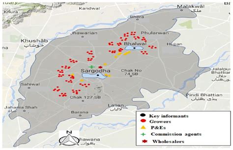 Mapping ICT Use along the Citrus (Kinnow) Value Chain in Sargodha ...