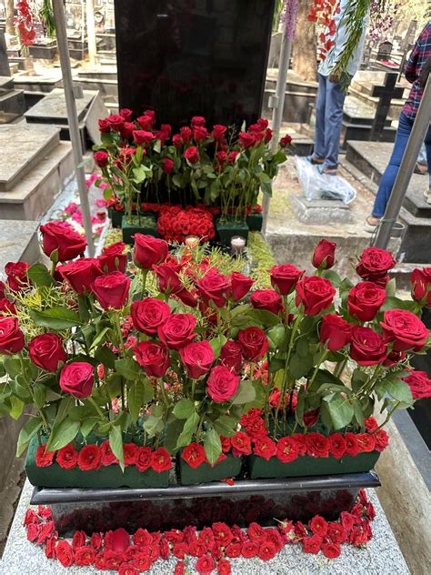 FlowerAura Fresh Live Flower Bouquet of 12 Blue & White Carnations In ...