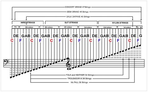 Rezultat imagine pentru Harp String Types
