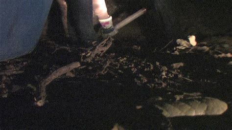 Megan Is Missing (2011)