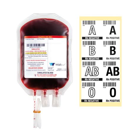 Practi-Blood Bag 300mL of blood in a 450mL Bag | 1024786 | Wallcur ...
