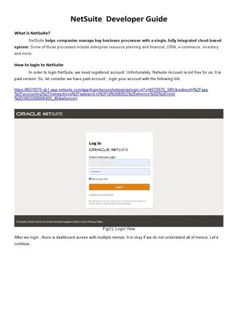 Image result for NetSuite Developer