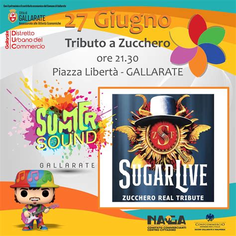 SUMMER SOUND GALLARATE: TRIBUTO A ZUCCHERO, Piazza della Libertà, 21013 ...
