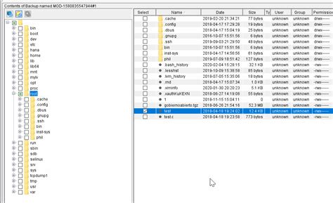 Avamar: How to perform a Linux VMware File Level restore without using ...