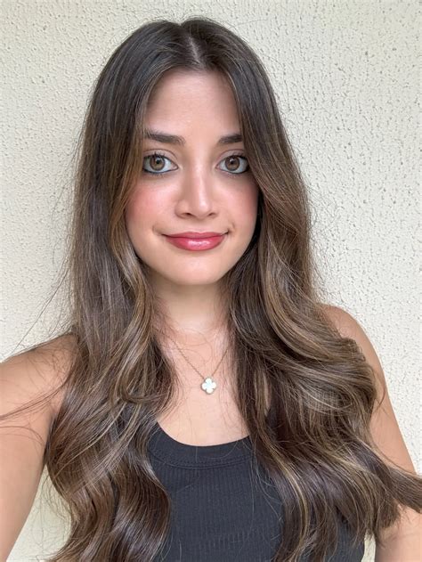 Judge Diane Goodstein’s home burns to ground after ruling against Trump ...