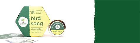 Buy Last Forest Beeswax Natural Lip Balm for Men & Women 5g | Organic ...