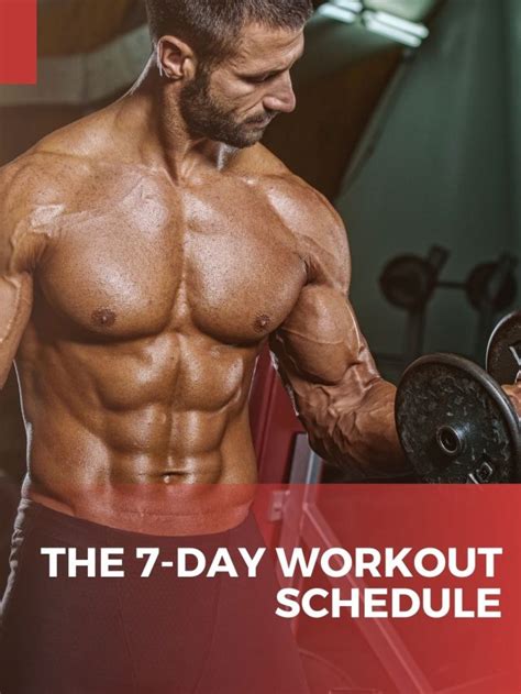 Example Workout Schedule 的图像结果