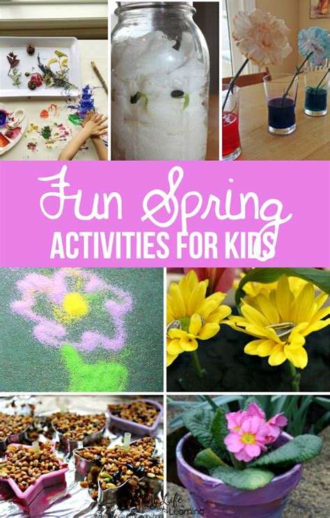 Image result for Fun Spring Rec