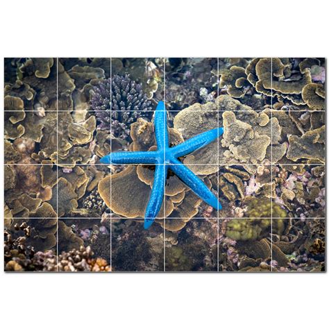 Picture-Tiles.com Coral Photo 4.25'' x 4.25'' Satin Ceramic Decorative ...