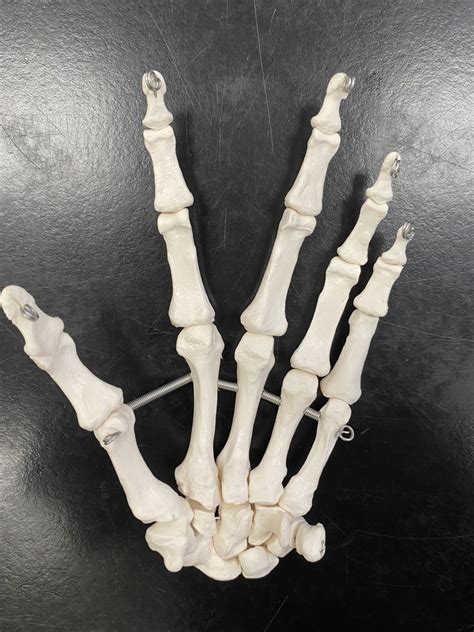 Image result for Hand Labeling