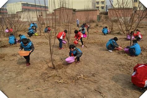 娑幼：植树添绿 我与小树共成长-幼教 - 常州市天宁区教师发展中心