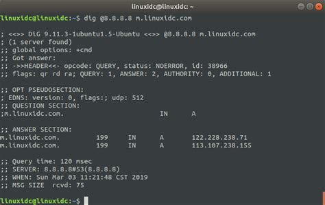 Linux下解析域名命令-dig 命令使用详解 | 《Linux就该这么学》