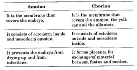 Differentiate between amnion and chorion.