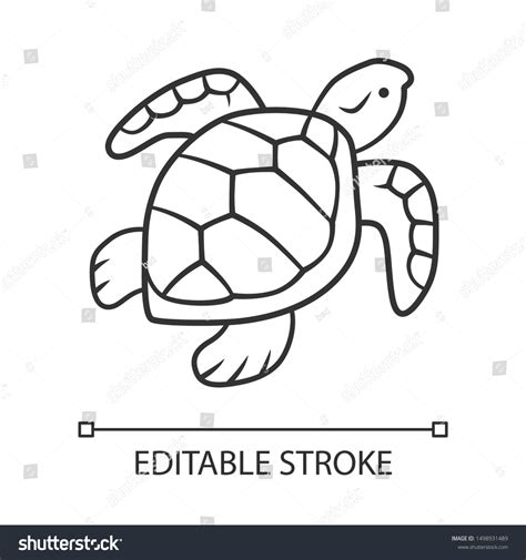 Simple Turtle Outline