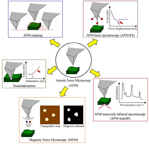 Image result for Atomic force microscopy AFM Principles