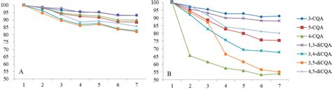 Stability and Degradation of Caffeoylquinic Acids under Different ...