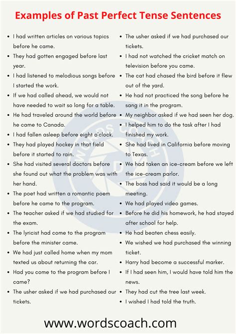 10 examples of past perfect tense sentences – Artofit