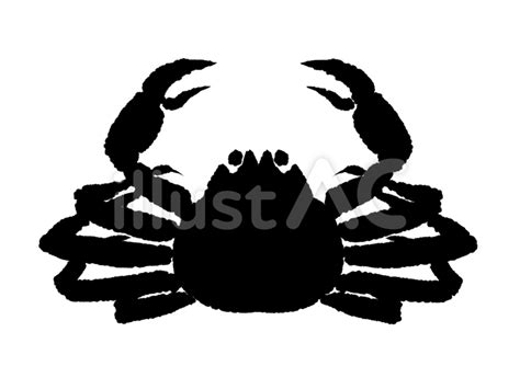 Image result for Computer Engineering KNUST Course Outline
