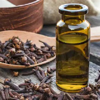 Gallery - Aurashine Essentials Private Limited from Mumbai Maharashtra ...