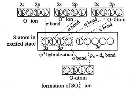The shape of sulphate ion is - Tardigrade