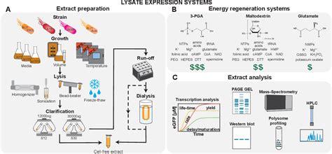 Image result for Complex Bioengineered System