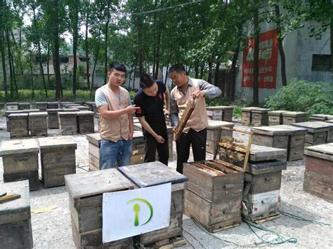 Image result for Basic Honey Processing