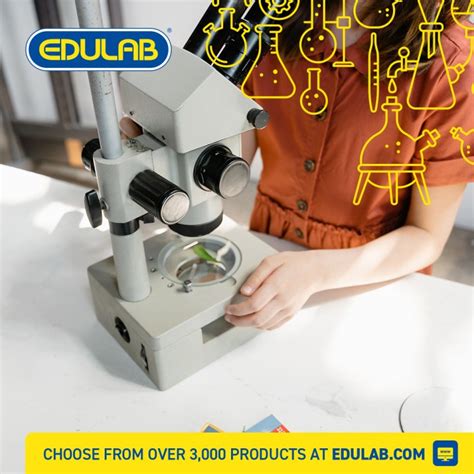 Image result for Microscope Experiments for Kids