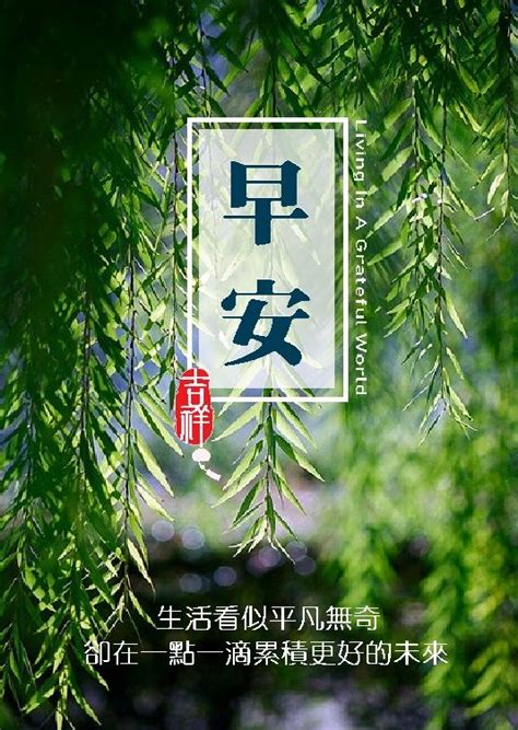 Best Tamrin for JavaScript 的图像结果