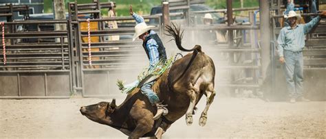 Buy PBR: Teams Tickets | 2026 Event Dates & Schedule | Ticketmaster.com
