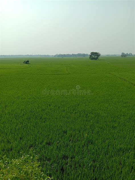 Country Scenery 的图像结果