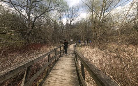 16 Things To Do In Unionville, ON: A Complete Day Trip Travel Guide ...