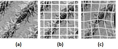 Image result for Decentering Distortion Example