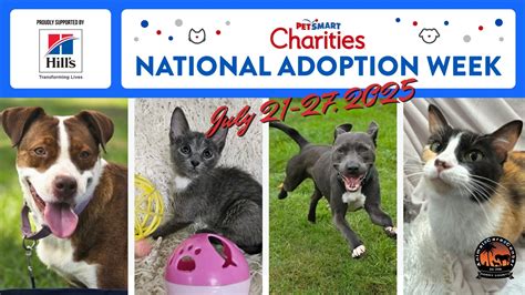 News - Horry County SC.Gov