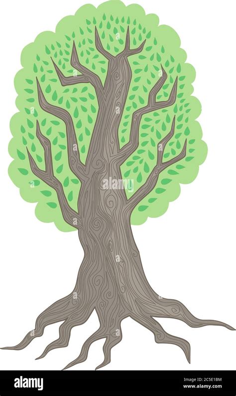Image result for How to Draw a Simple Large Tree