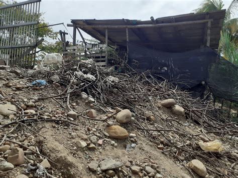 Denuncian malos olores y contaminación por marraneras en la Comuna 8 de ...