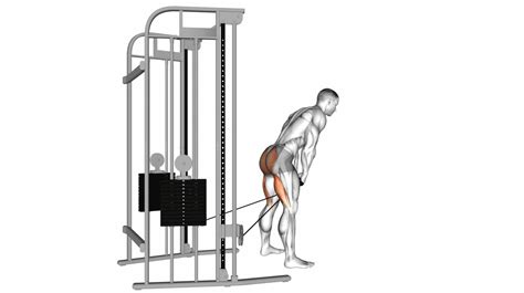 Image result for Cable Machine Hamstring Exercises