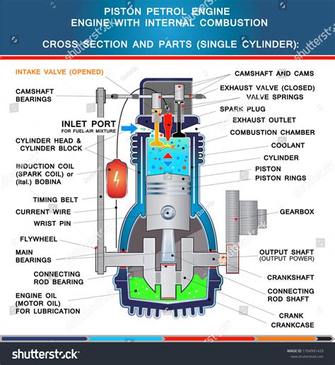 Engine Cross Section 的图像结果