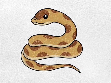 How To Draw A Black Snake at Emma Pitt blog