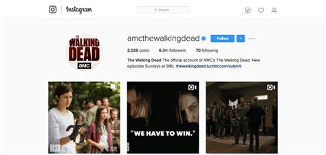 Image result for Good Looking Python Website