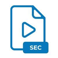 SEC File Format: What Is It and How to Open It?