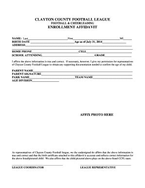 Fillable Online CCFL AFFIDAVIT Fax Email Print - pdfFiller