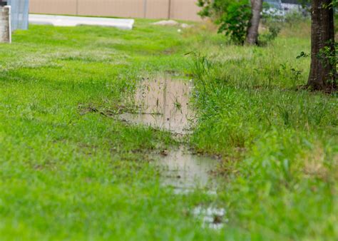 Puddle On Patio