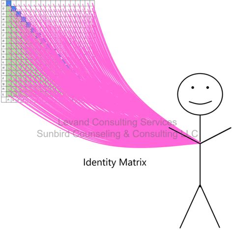 Identity Matrix 的图像结果
